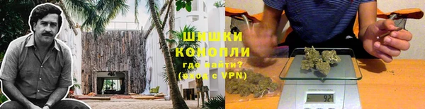 сатива Богородск