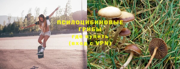 сатива Богородск