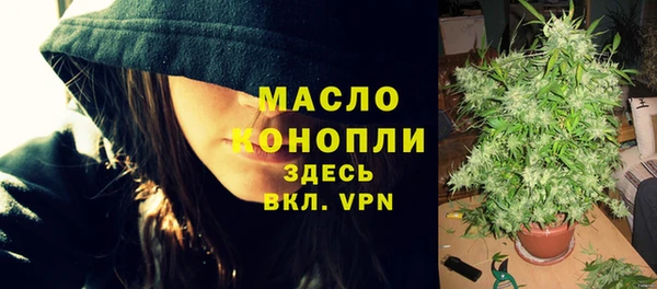 соль ск Богородицк