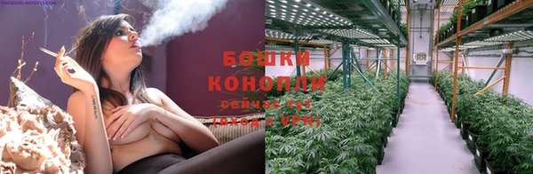 соль ск Богородицк