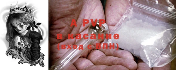 сатива Богородск